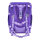 Belmil Premium Smarty Plus Schulranzen-Set 4-tlg. - DAHLIA