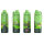 Step by Step Edelstahl-Trinkflasche - DINO